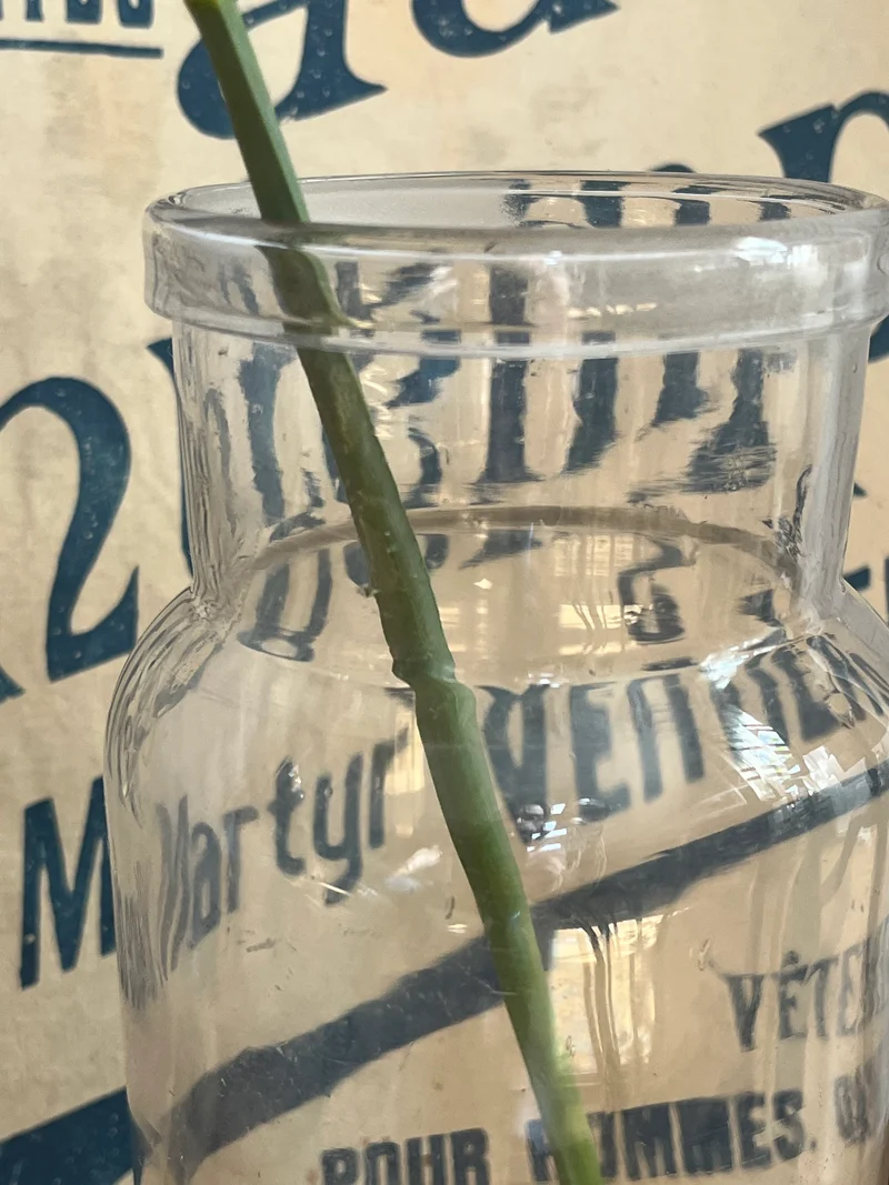 Altes belgisches Vorratsglas Vase mit umgeschlagenem Rand