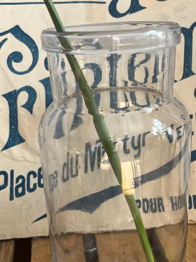 Altes belgisches Vorratsglas Vase mit umgeschlagenem Rand