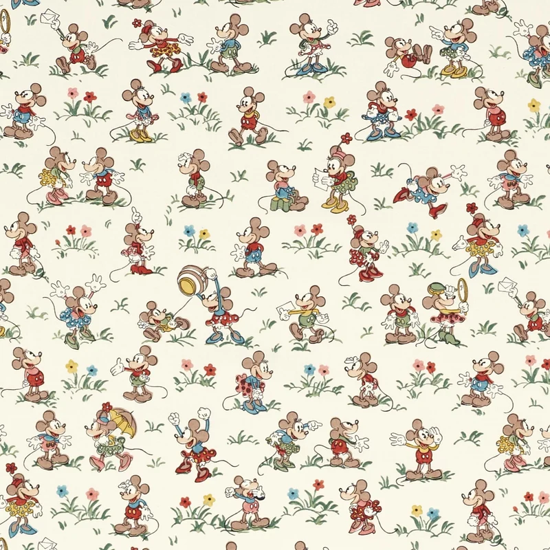 Mickey & Minnie - allsorts