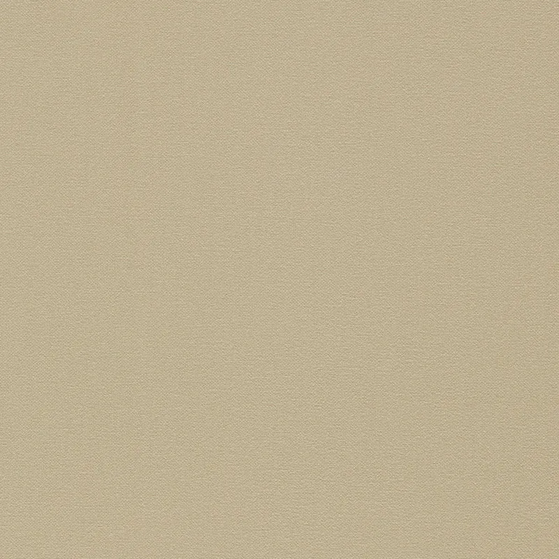 Cotton Plain - oyster