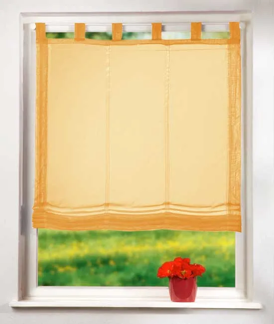 Raffrollo Voile »UNI« mit Schlaufen transparent 61008