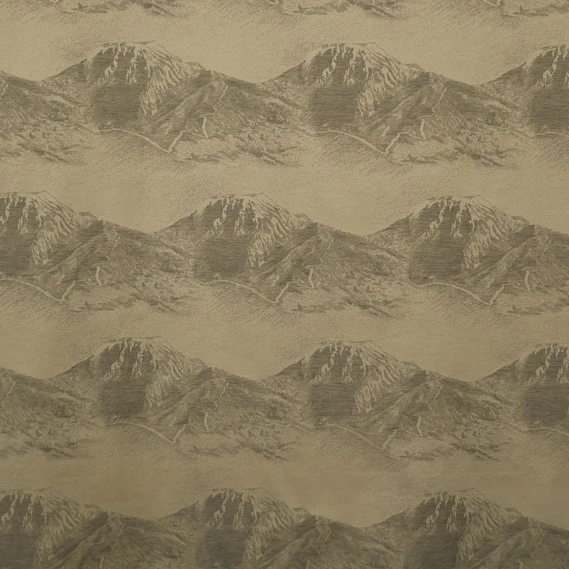 Vorhang BERNINA
