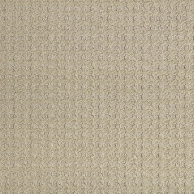 Checker - nature