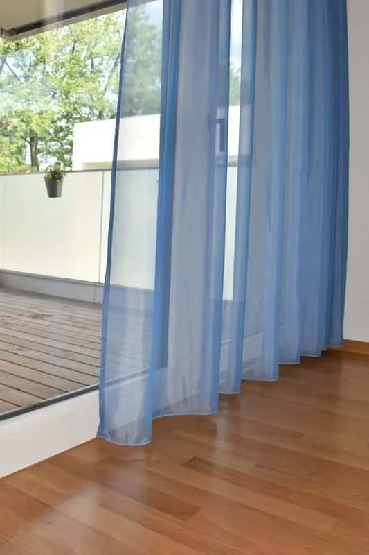 BEGONIA