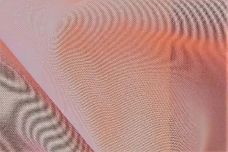 BEGONIA