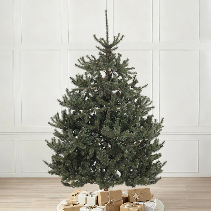 Salcar Künstlicher Nordmanntannen Weihnachtsbaum – Ultra-realistisch, 180 cm / 210 cm, 1118 / 1512 Spitzen, Dicht & Langlebig für Innen- und Außenbereich