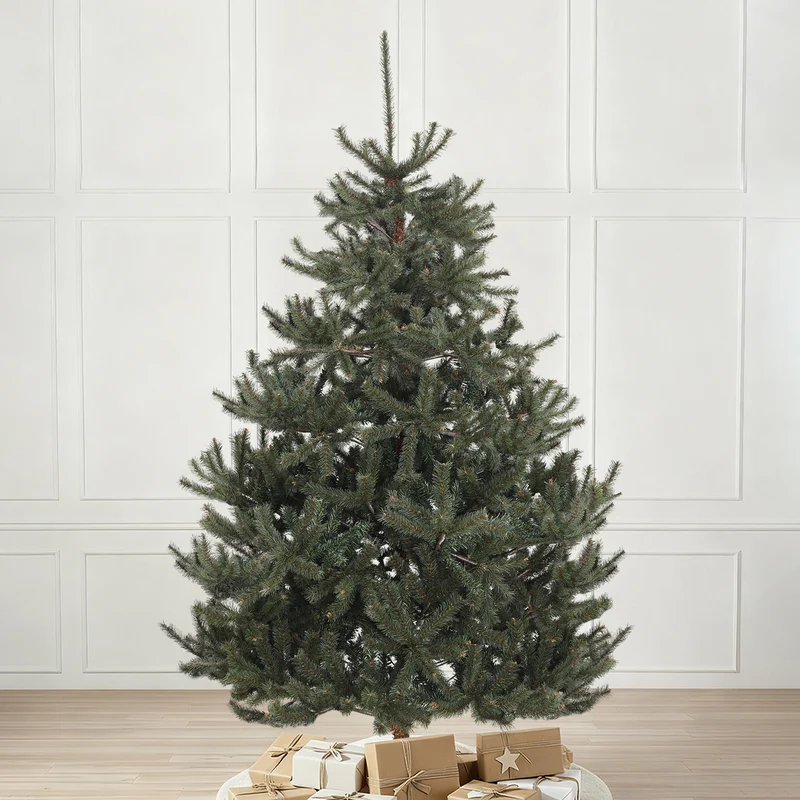 Salcar Künstlicher Nordmanntannen Weihnachtsbaum – Ultra-realistisch, 180 cm / 210 cm, 1118 / 1512 Spitzen, Dicht & Langlebig für Innen- und Außenbereich