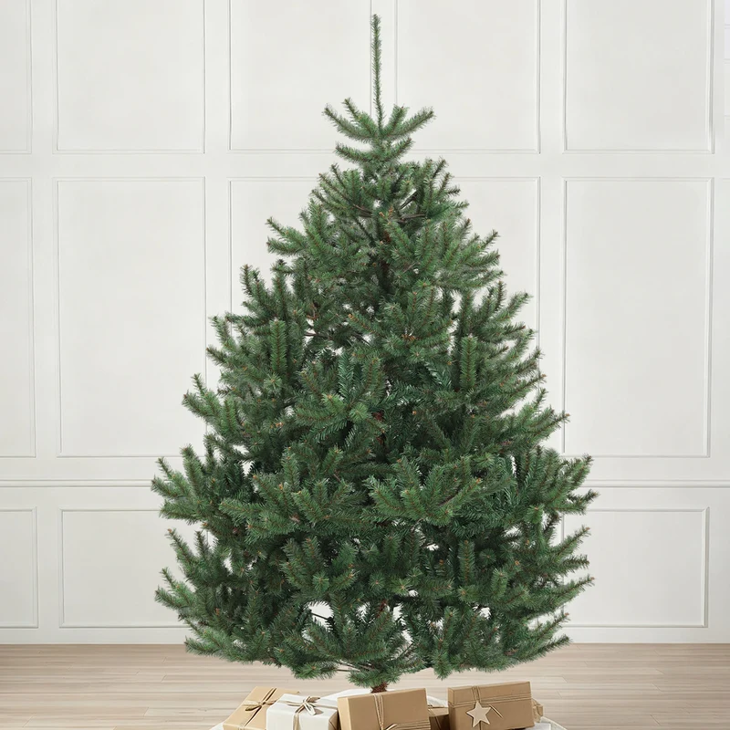 Salcar Künstlicher Weihnachtsbaum Nordmanntanne – Ultra-realistisch, 180 cm / 210 cm mit 1118 / 1512 Spitzen, Dicht & Robus, Für Innen- & Außenbereich