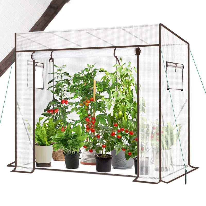Sekey Tomatengewächshaus Tamara XL Folien-Gewächszelt mit aufrollbarer Tür, stabiler Rahmen 200 x 77 x 146/170 cm
