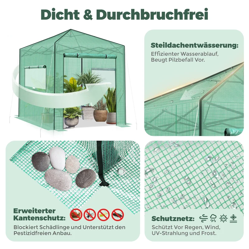 Sekey Pop-Up Foliengewächshaus 240×240×180 cm Großes Gewächshaus mit One-Touch-System für schnellen Aufbau im Garten