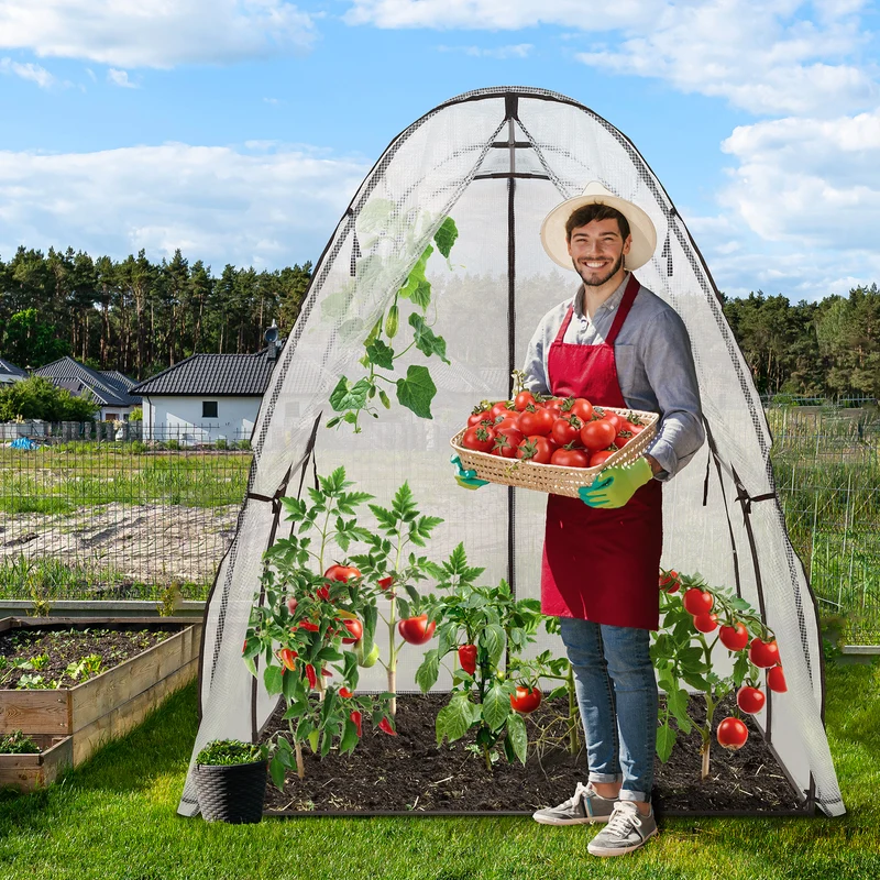 Sekey Sechseckiges Gewächshaus 160x160x180 cm – Tomatengewächshaus aus PE-Folie 135 g/m², stabil & winterfest, mit Reißverschlusstür & Belüftungsfenster für Garten, Balkon & Indoor