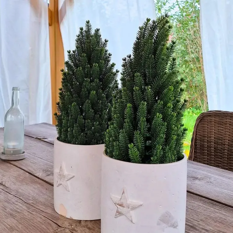 Salcar 50cm Künstlicher Weihnachtsbaum Kleinmit Basistopf, Nordmanntanne, aus 100% PE Spritzguss