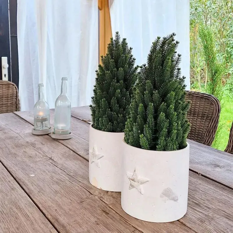 Salcar 50cm Künstlicher Weihnachtsbaum Kleinmit Basistopf, Nordmanntanne, aus 100% PE Spritzguss