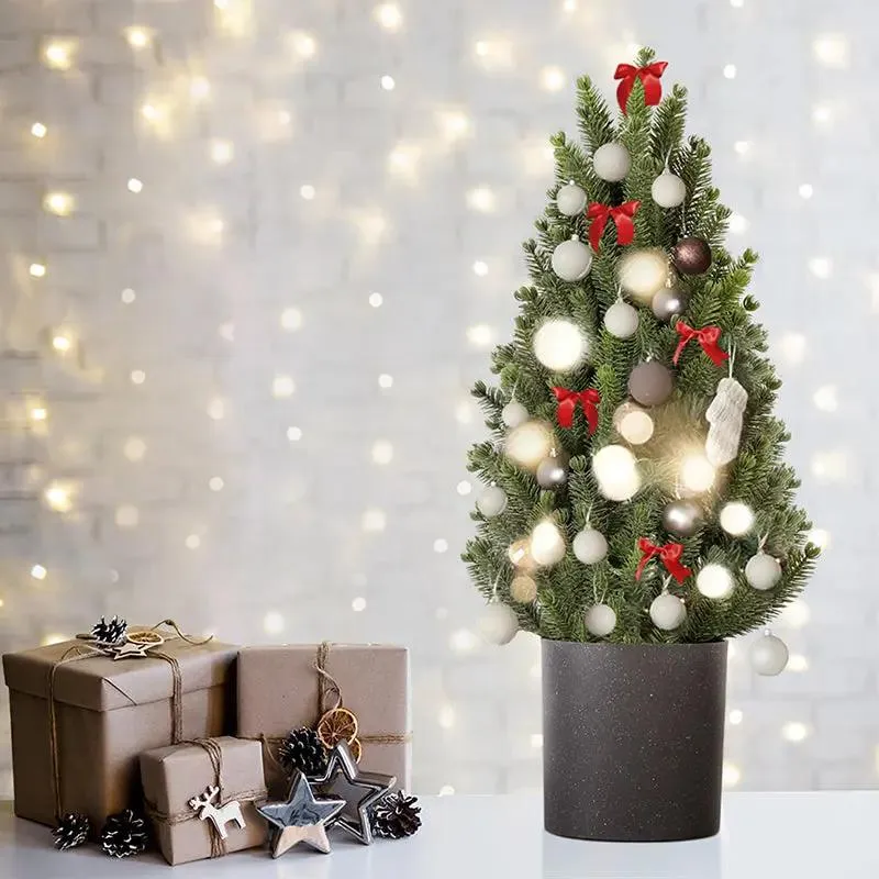 Salcar 50cm Künstlicher Weihnachtsbaum Kleinmit Basistopf, Nordmanntanne, aus 100% PE Spritzguss