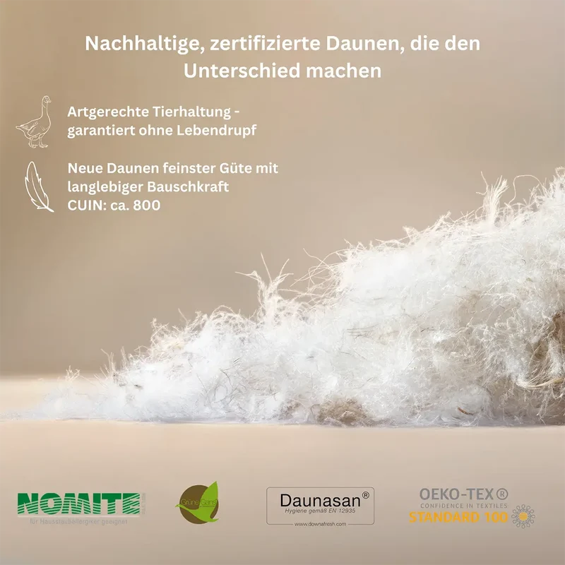 2. Wahl Premium 3-Kammer Daunenkissen Typ Eiderdaune 50x70 cm