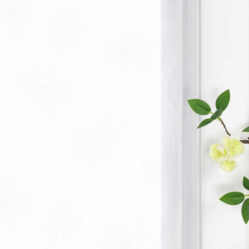 Rollo mit V-Haken Transparent Pilea peperomioides Muster 1 Stück