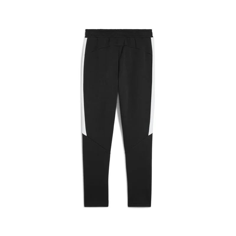 teamEVOSTRIPE Pants PUMA Black