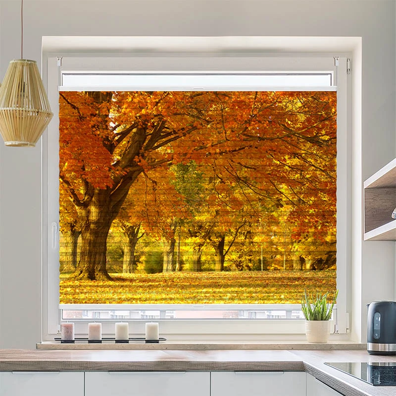 Wabenplissee Motiv "Allee im Herbst"