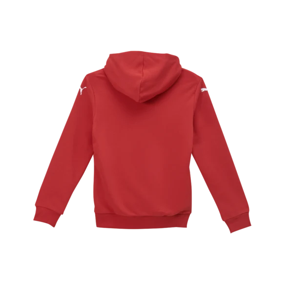 THW Kiel Graphic Hoodie Jr Red