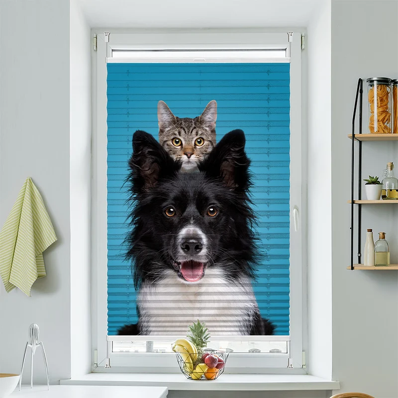Plissee Motiv 'Border Collie Mit Katze'