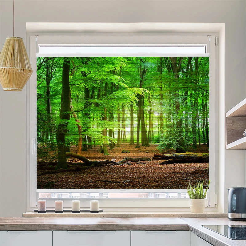 Plissee Motiv "Wald mit Eichenlaub"