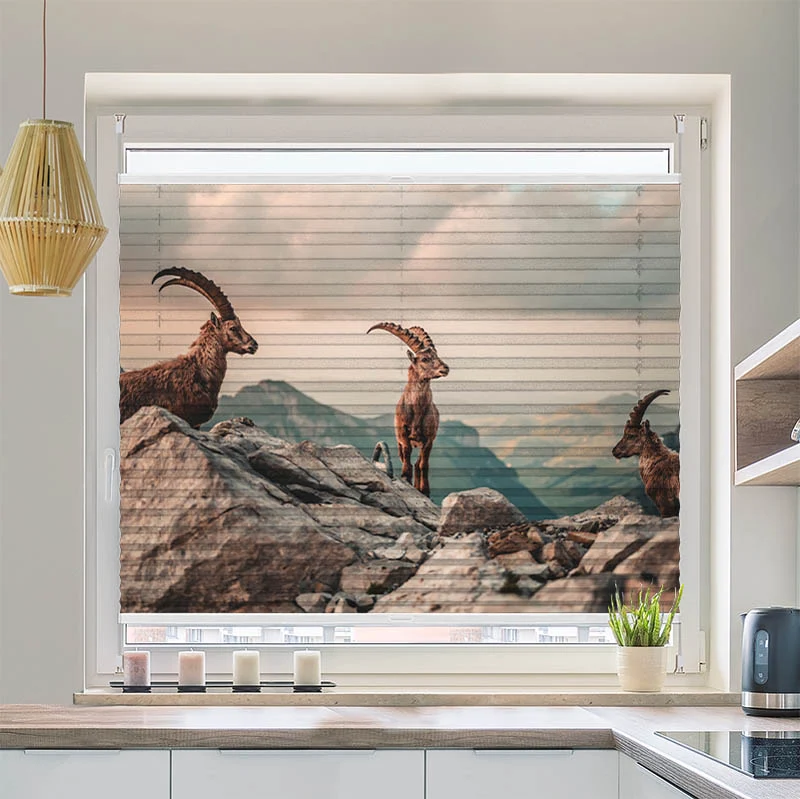 Wabenplissee Motiv "Steinboecke in den Schweizer Alpen"