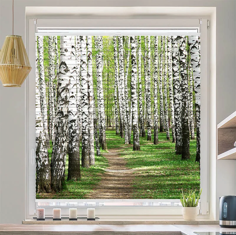 Wabenplissee Motiv "Birkenwald Weg"