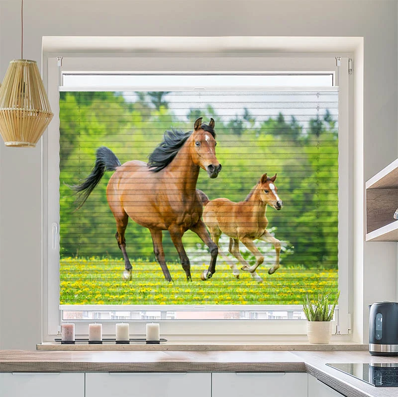 Wabenplissee Motiv "Pferd mit Fohlen"