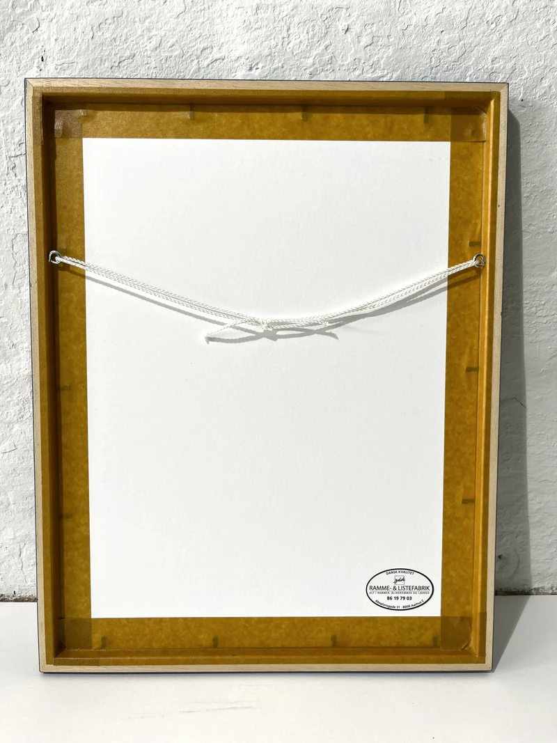 Kronprinsessegade - 41x32 cm