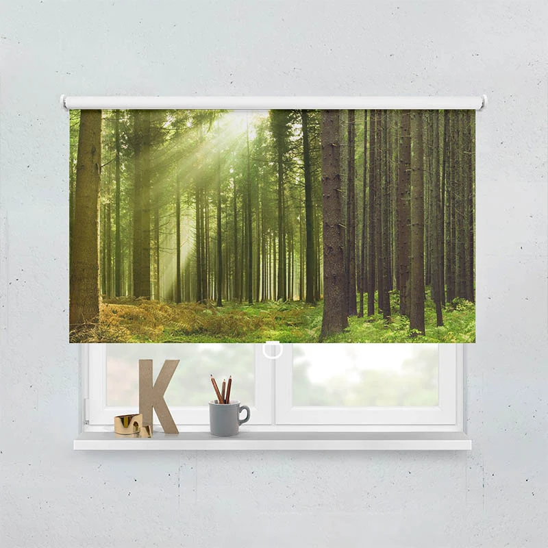 Springrollo Motiv "Sonnenstrahlen im Wald Panorama"