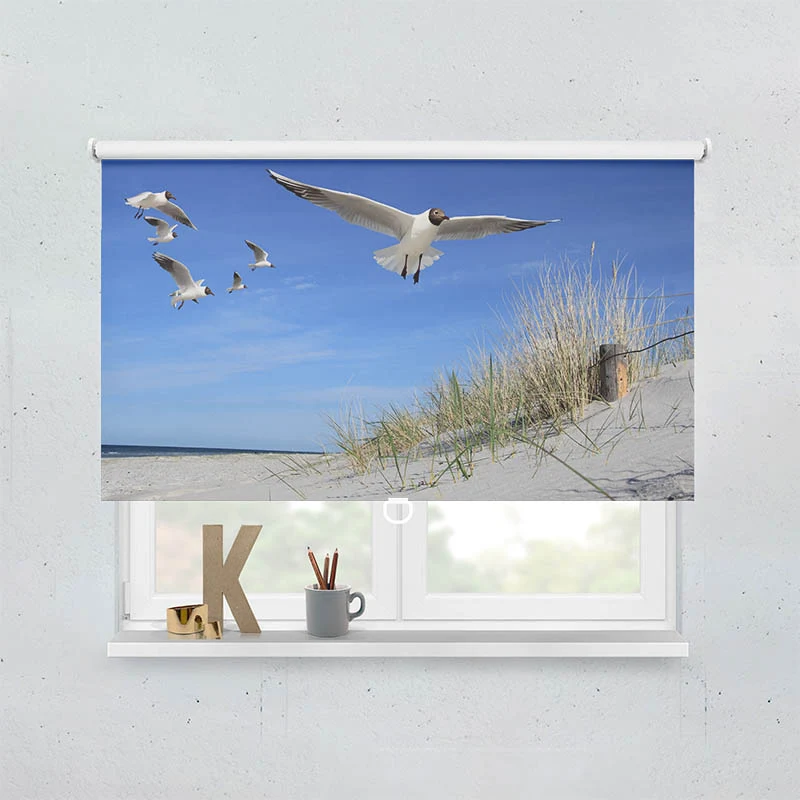 Springrollo Motiv "Moewen am Strand"