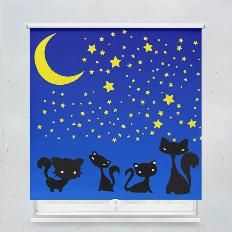 Springrollo Motiv "Katzen unter dem Sternenhimmel"