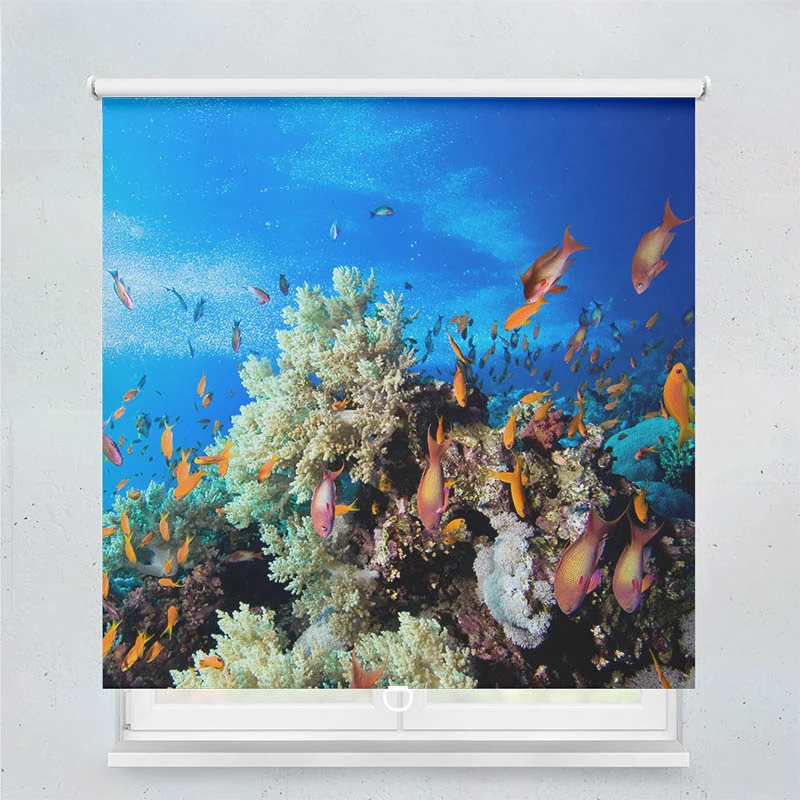 Springrollo Motiv "Korallen und Fische"