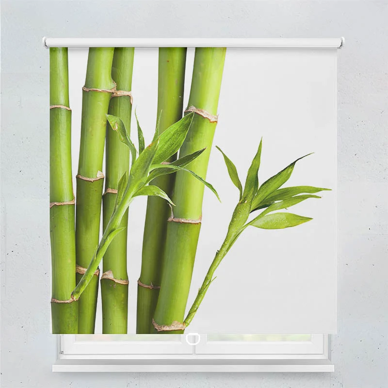 Springrollo Motiv "Bambus"