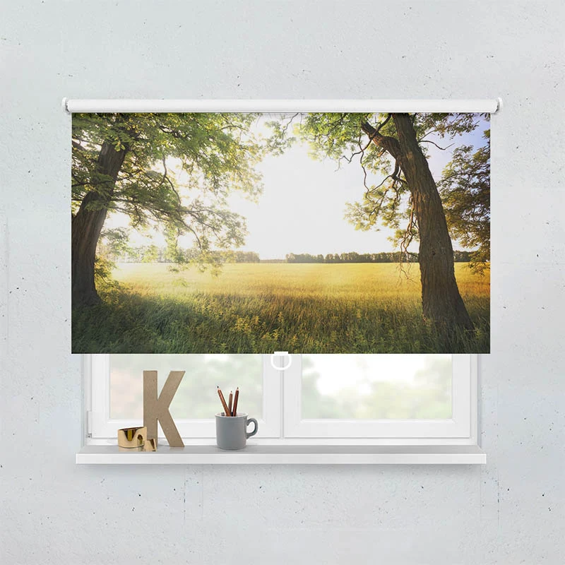 Springrollo Motiv "Feld mit Sonnenlicht"
