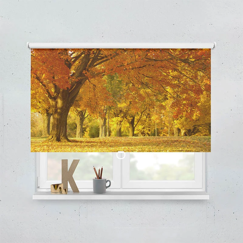 Springrollo Motiv "Allee im Herbst"