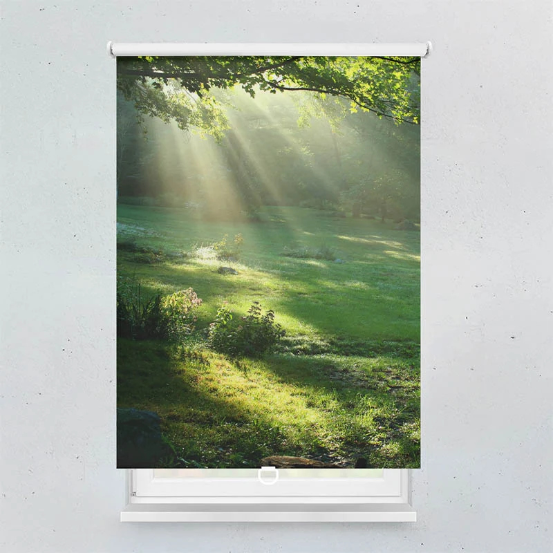 Springrollo Motiv "Lichtung im Wald"