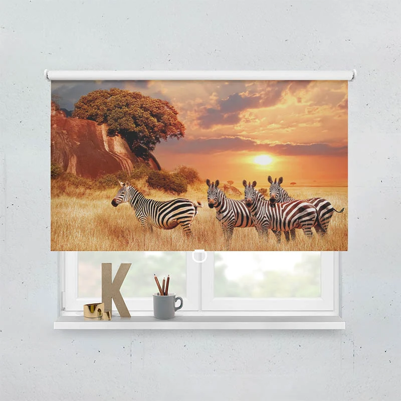 Springrollo Motiv "Zebras in Afrikas Savanne"