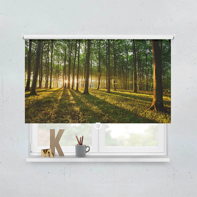 Springrollo Motiv "Sonnenstrahlen im Wald"