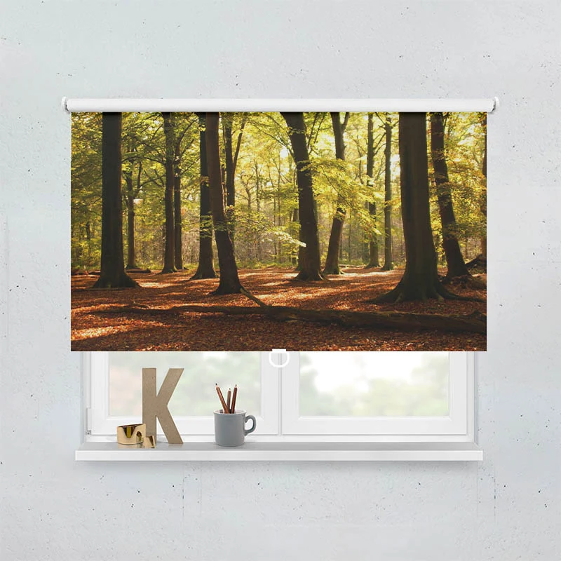 Springrollo Motiv "Wald Sonnenstrahlen"