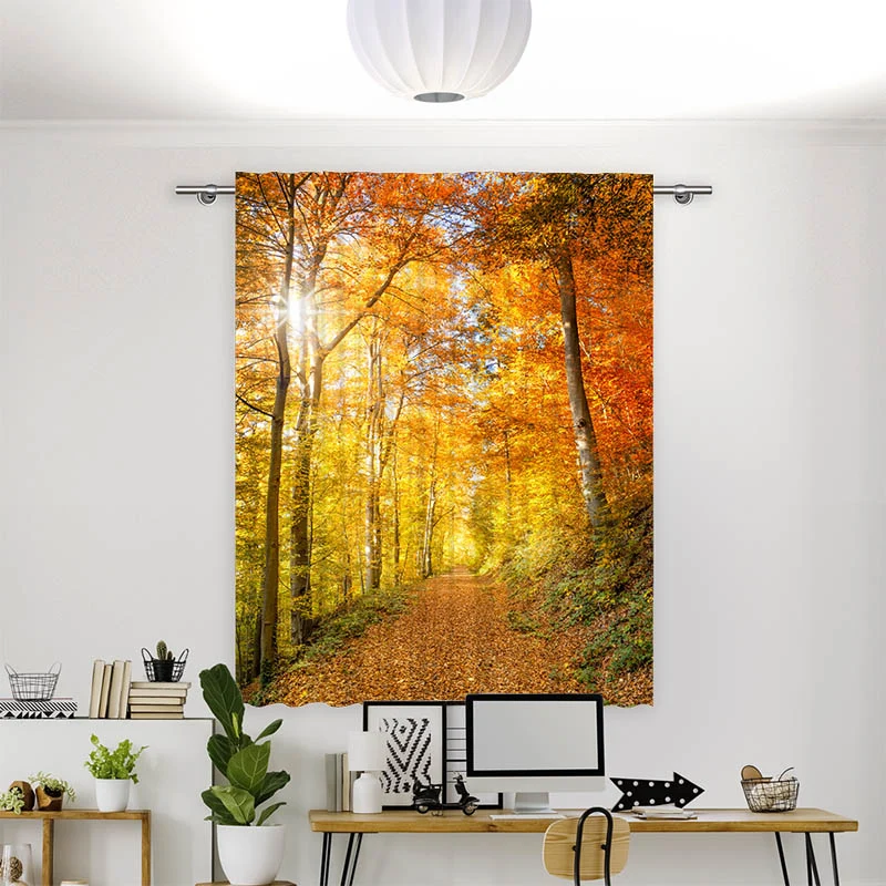 Vorhang Motiv "Waldweg Herbst"