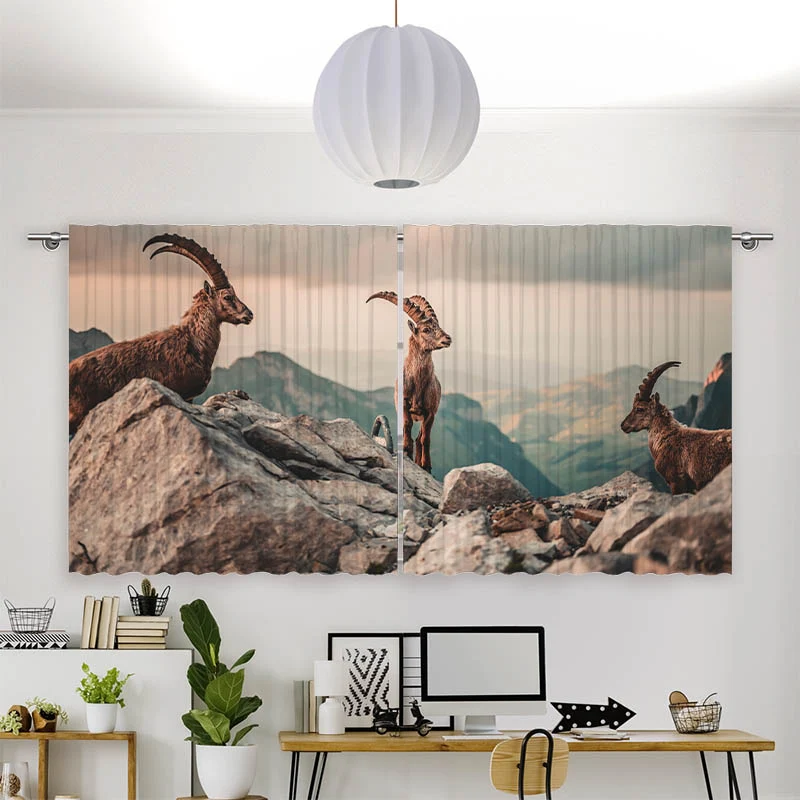Vorhang Motiv "Steinboecke in den Schweizer Alpen"