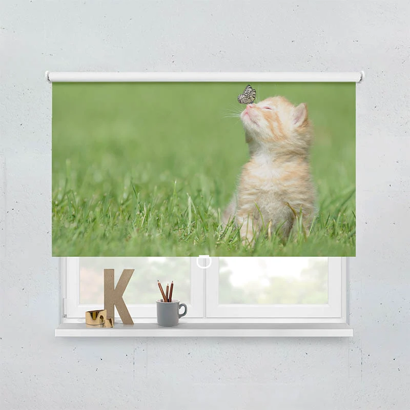 Springrollo Motiv "Kitten und Schmetterling"