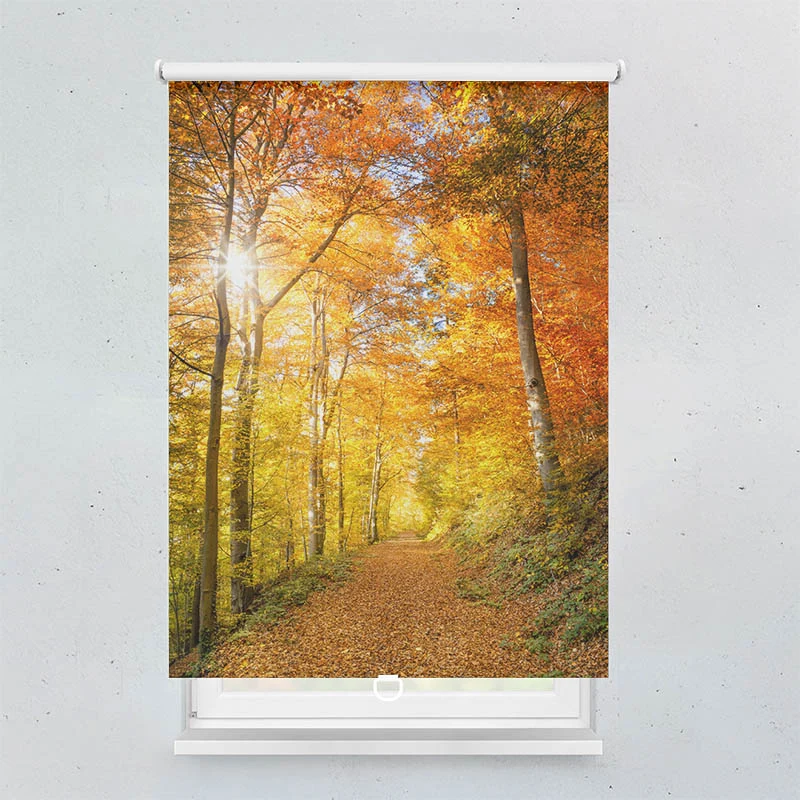 Springrollo Motiv "Waldweg Herbst"