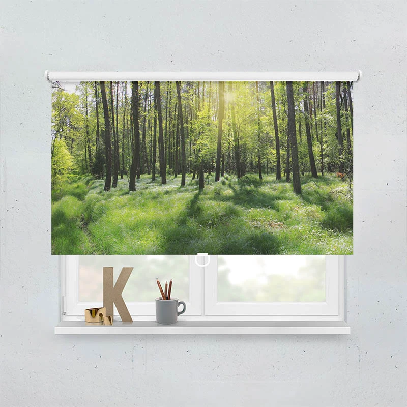 Springrollo Motiv "Wald Panorama"