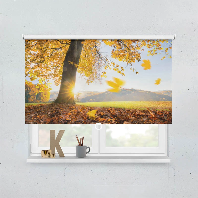 Springrollo Motiv "Baum Wiese Herbst"