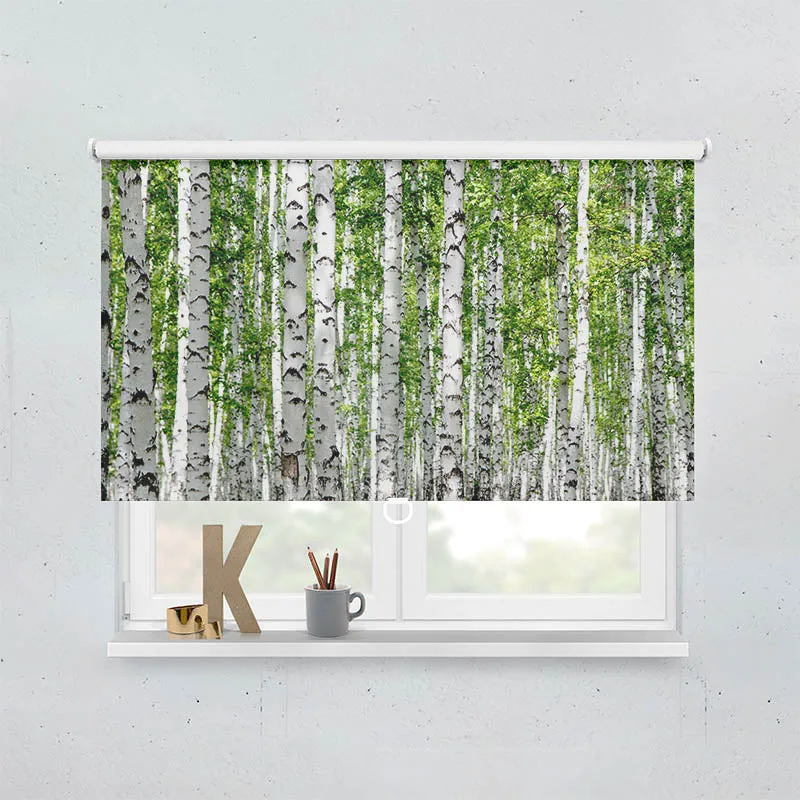 Springrollo Motiv "Birkenwald"