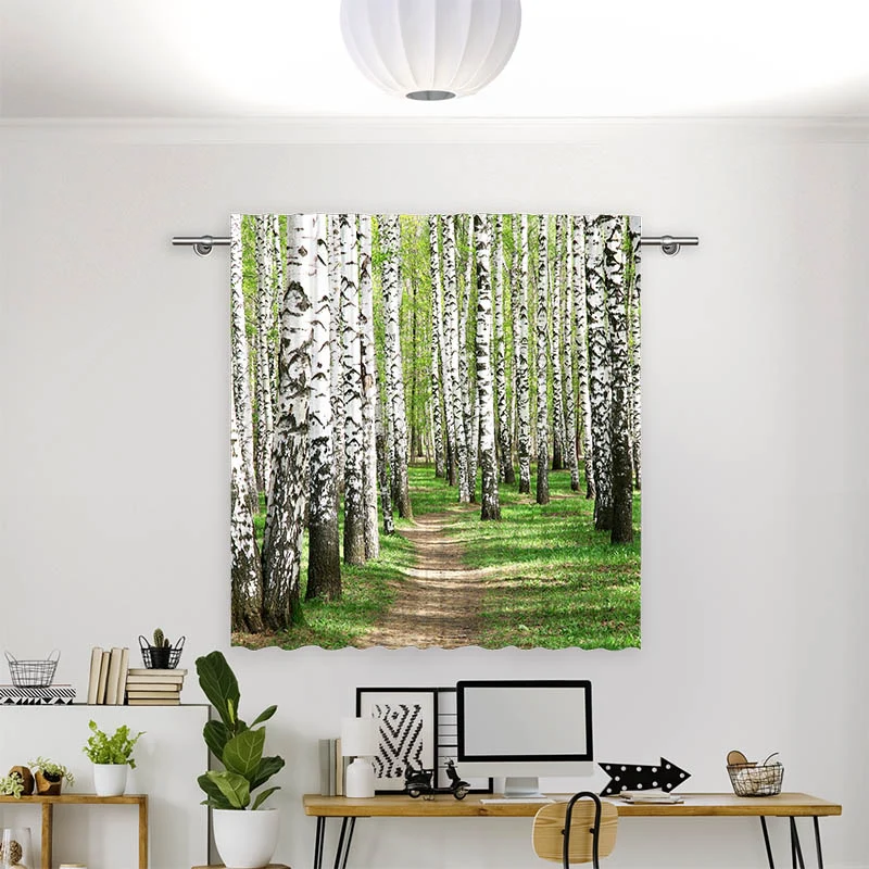 Vorhang Motiv "Birkenwald Weg"