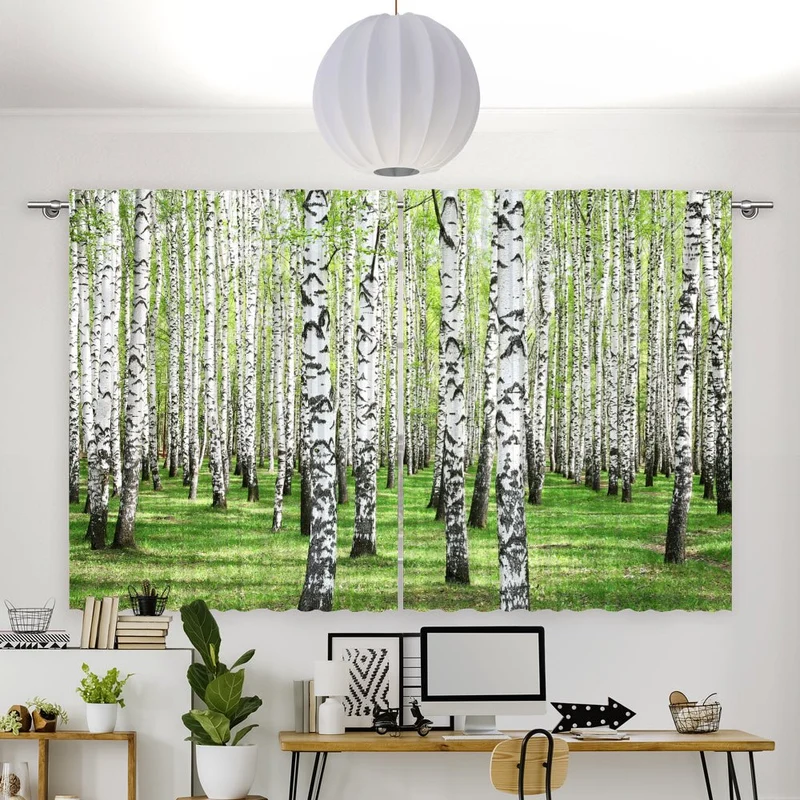 Vorhang Motiv "Birkenwald"