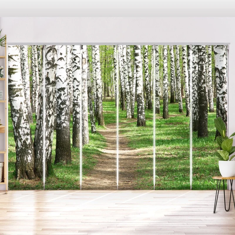 Schiebegardine Motiv "Birkenwald Weg"